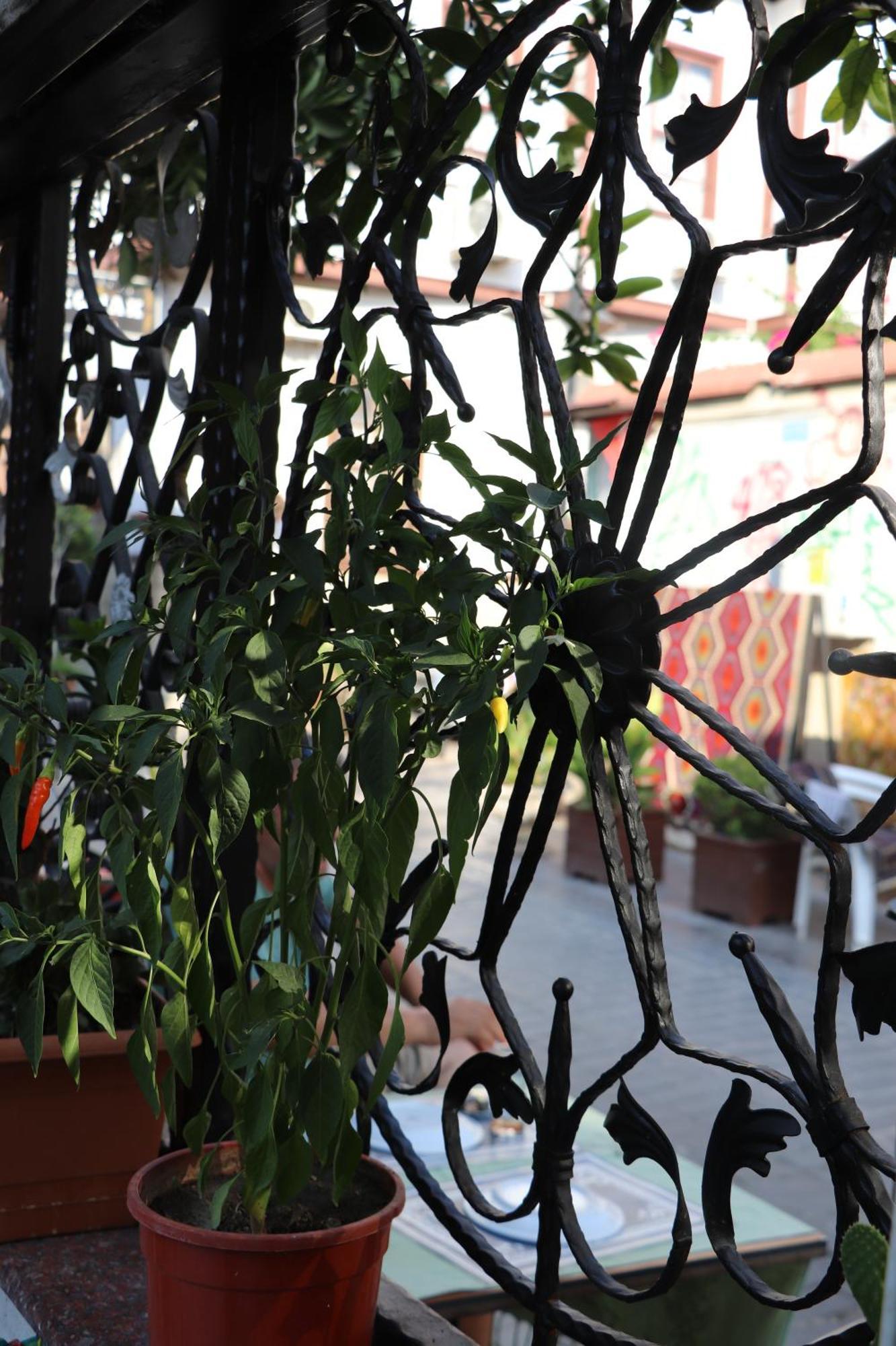 Tu Casa Linda Hotel อันตัลยา ภายนอก รูปภาพ